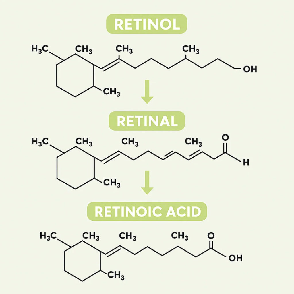 Clarivelle™ Det næste generations alternativ til retinol